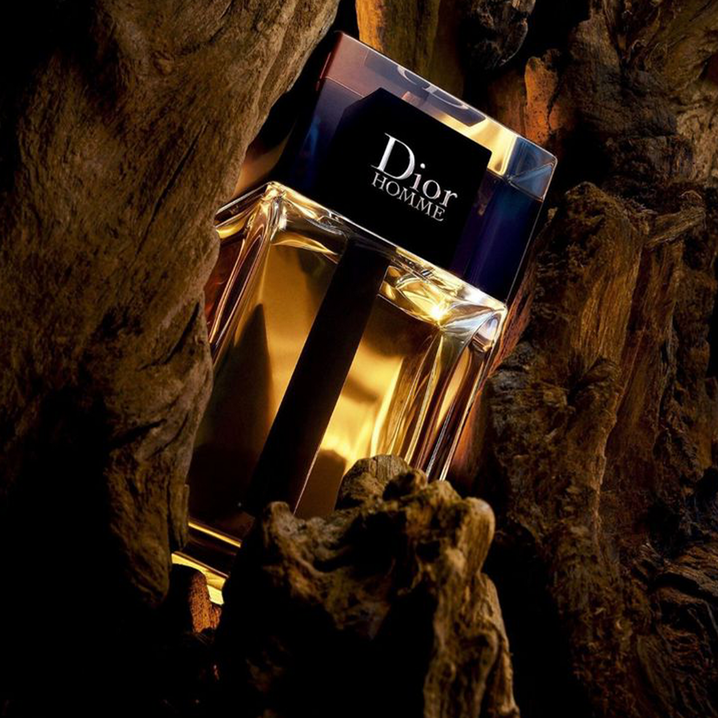 Отливка от Christian Dior - Homme Intense