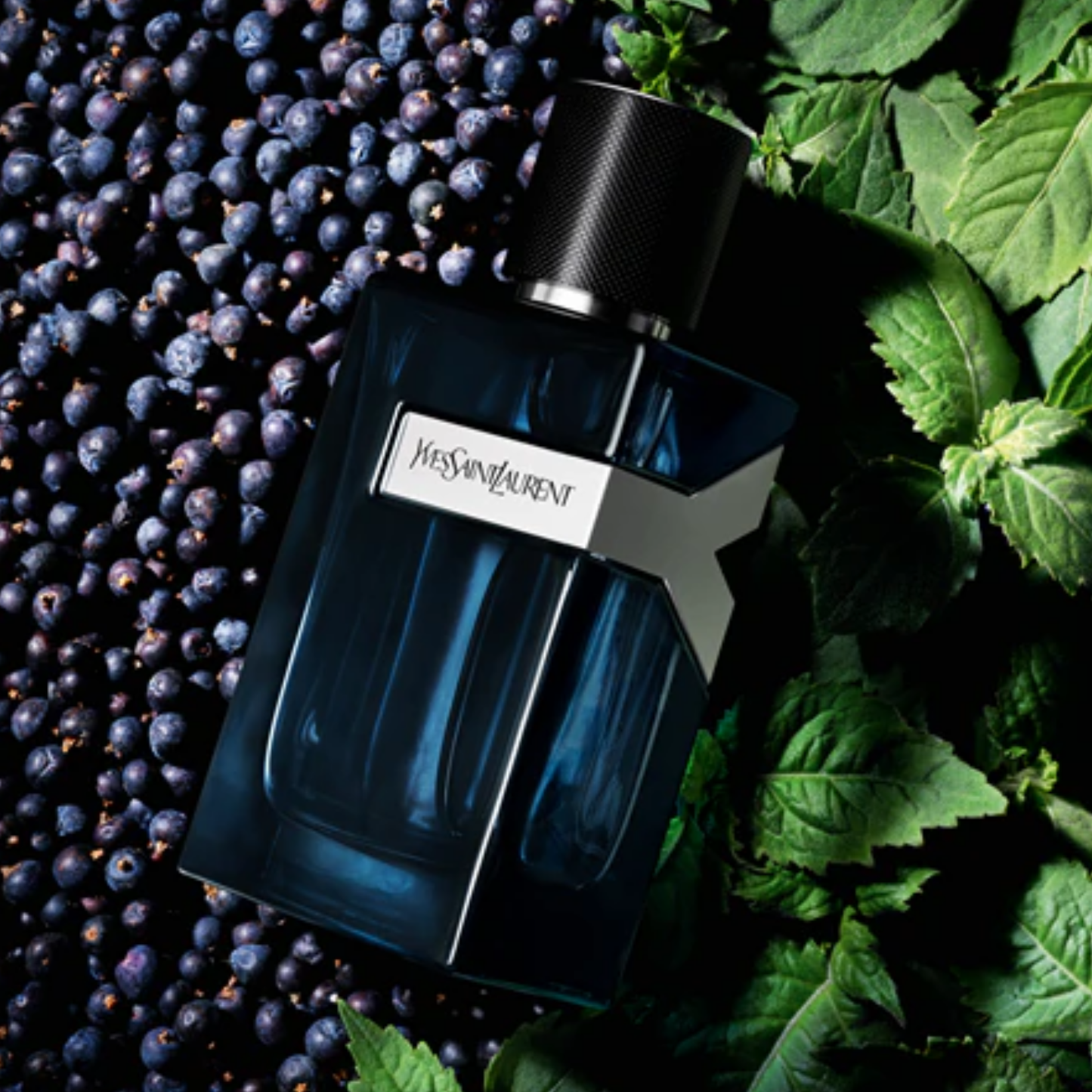 Отливка от Yves Saint Laurent - Y Intense